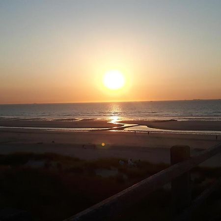 شقة Scarphout Genieten Aan Zee بلانكنبرخ المظهر الخارجي الصورة