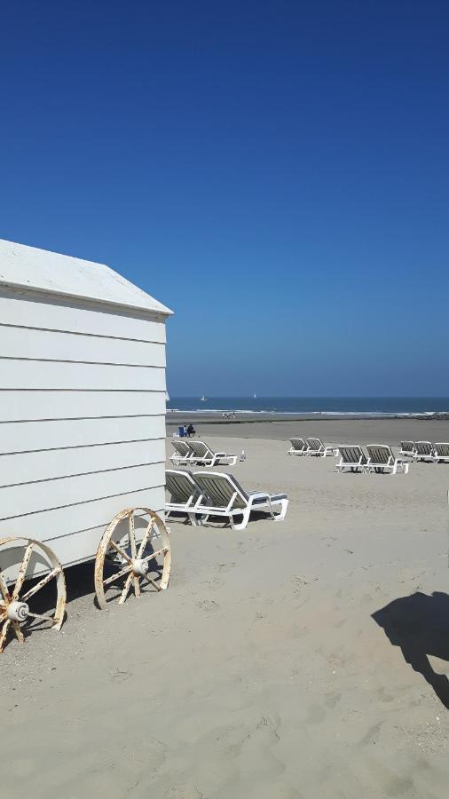 شقة Scarphout Genieten Aan Zee بلانكنبرخ المظهر الخارجي الصورة