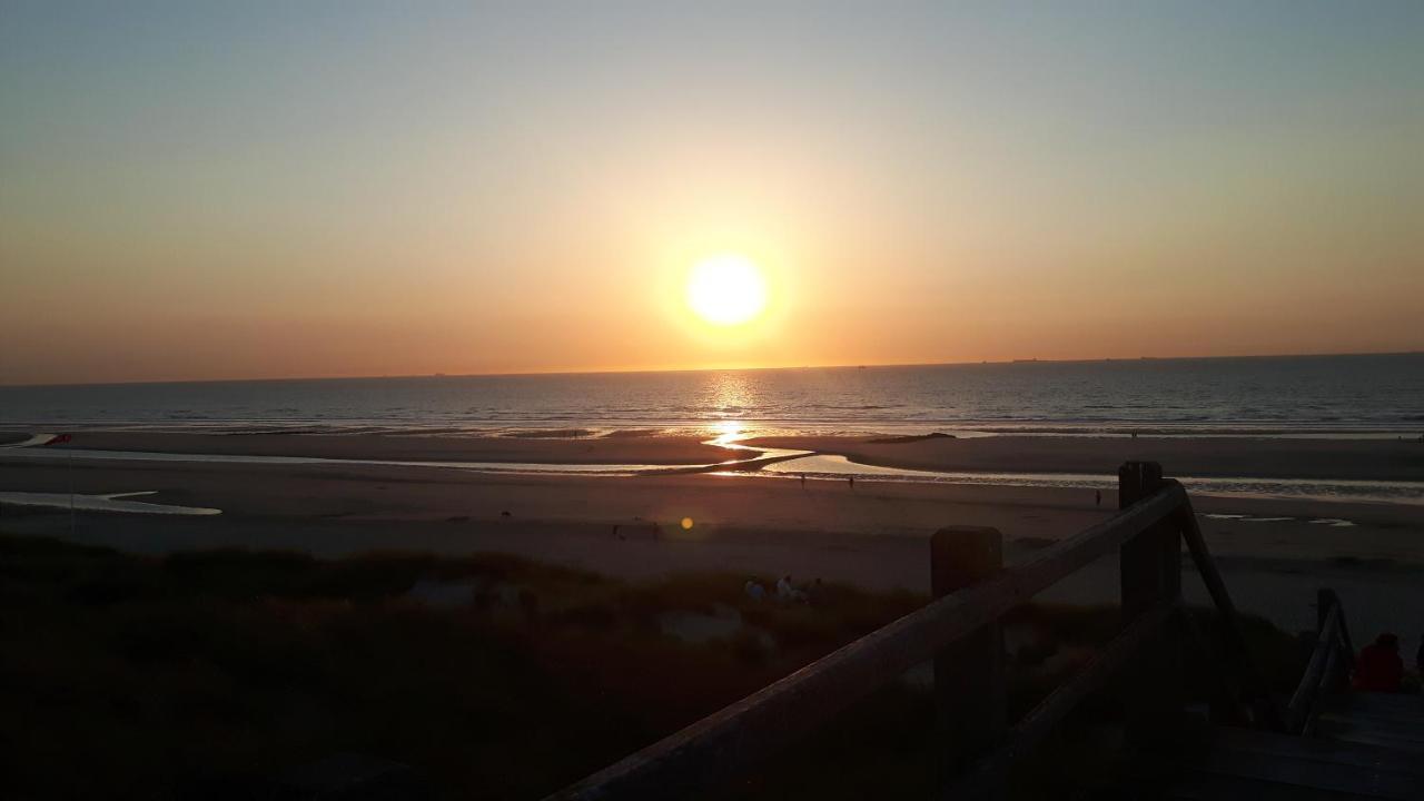 شقة Scarphout Genieten Aan Zee بلانكنبرخ المظهر الخارجي الصورة